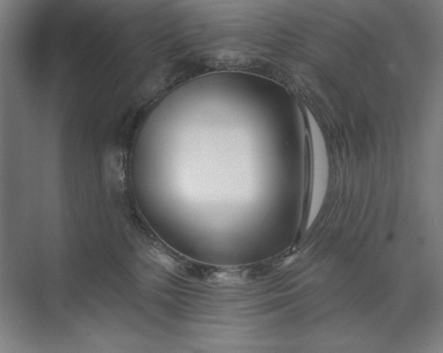 X0000074040232200609061216