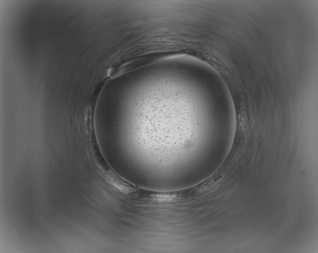 X0000074040233200609061216