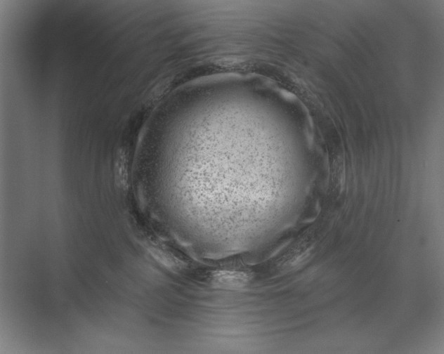 X0000074040234200609061216