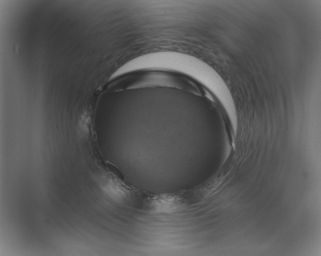 X0000074040235200609061216