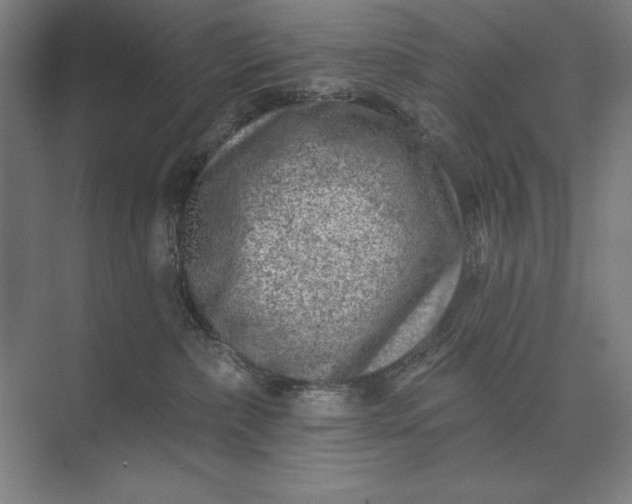 X0000074040236200609061216