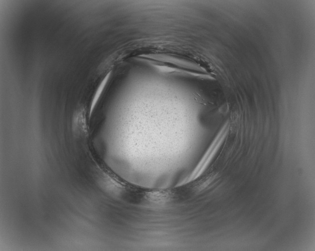 X0000074040238200609061216