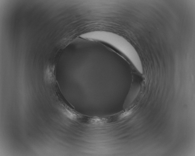 X0000074040239200609061216