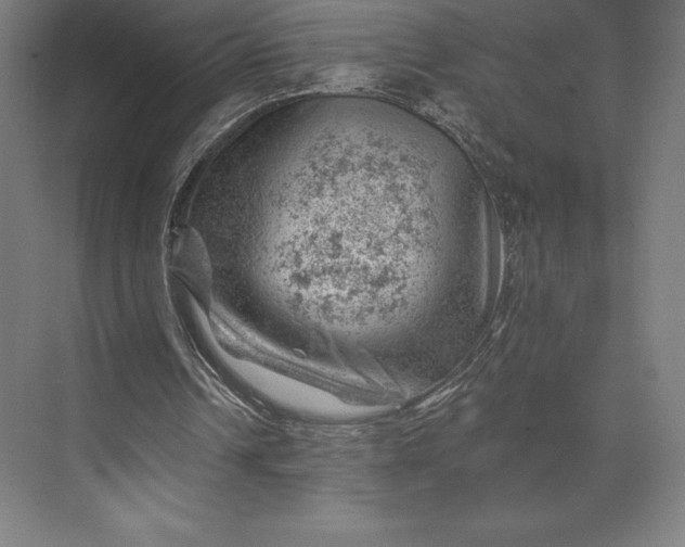 X0000074040242200609061215