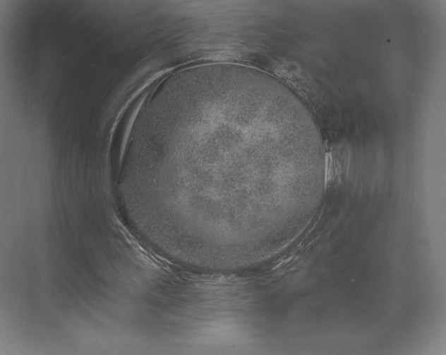 X0000074040243200609061215