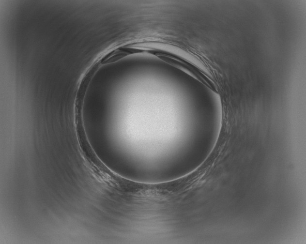 X0000074040244200609061215