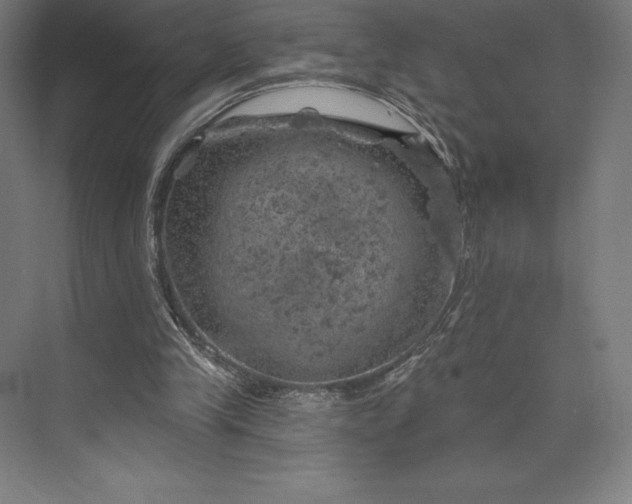 X0000074040245200609061215