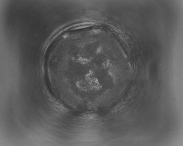 X0000074040247200609061215