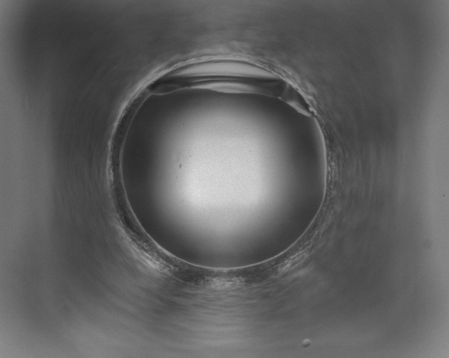 X0000074040248200609061215