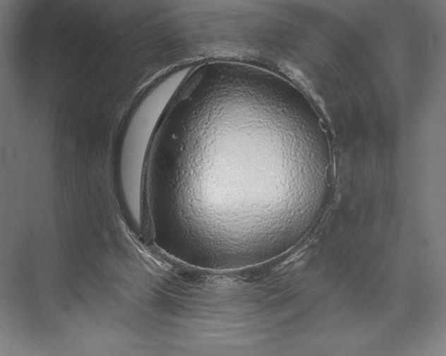 X0000074040249200609061215