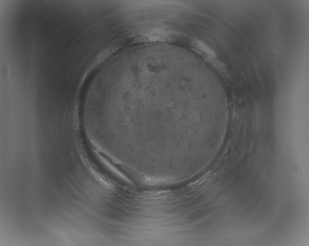 X0000074040250200609061215