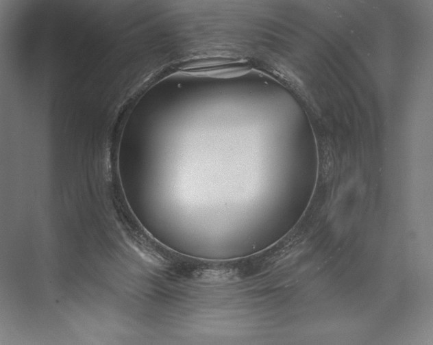 X0000074040251200609061215