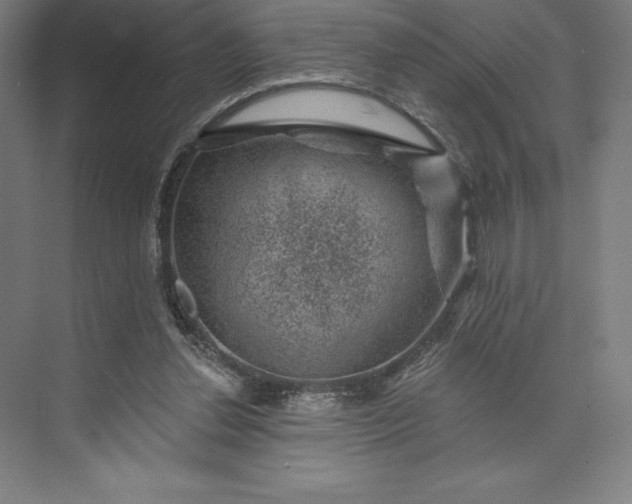 X0000074040252200609061215