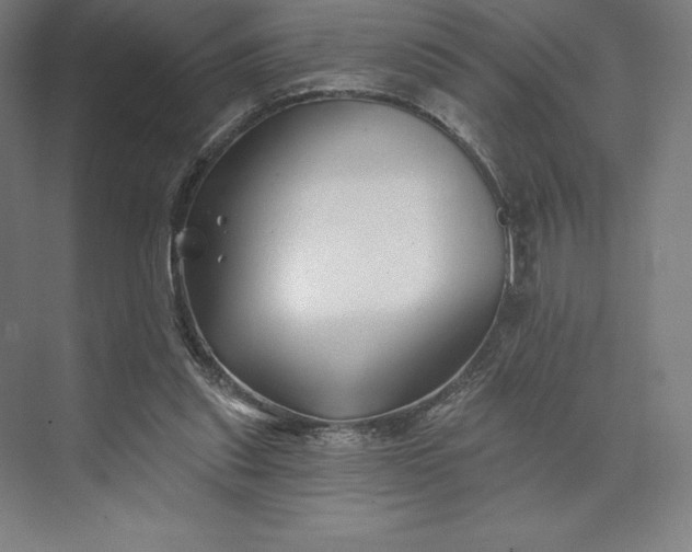 X0000074040253200609061215