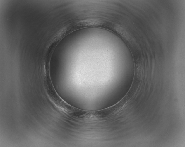 X0000074040254200609061215