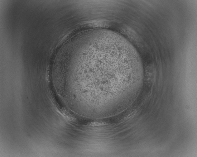 X0000074040255200609061215