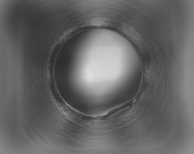 X0000074040256200609061215