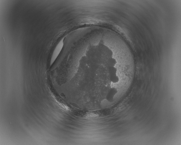 X0000074040257200609061215