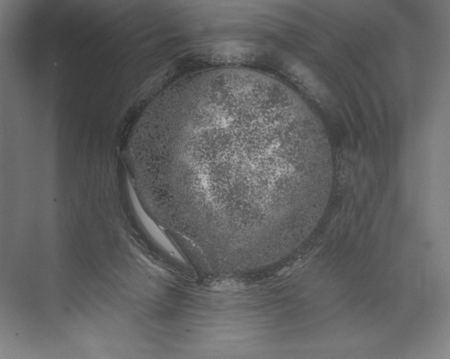 X0000074040258200609061215