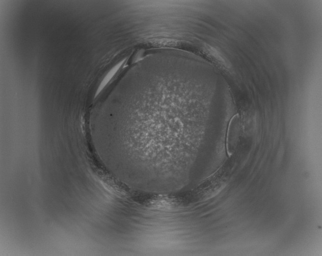 X0000074040259200609061215