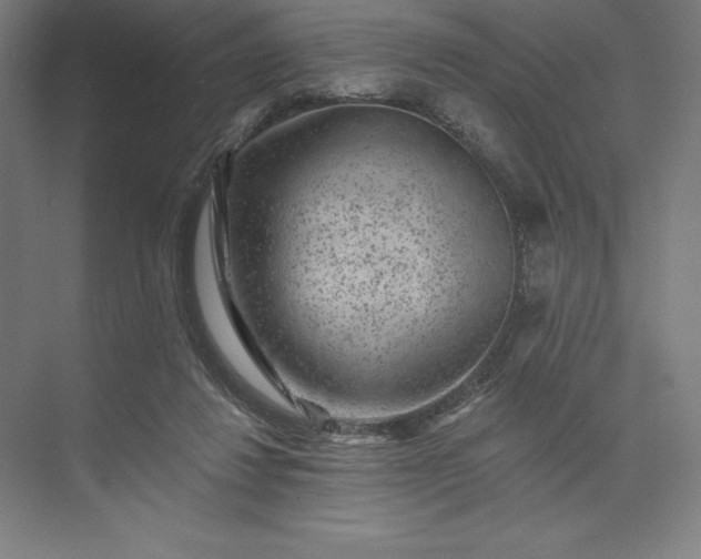 X0000074040260200609061215