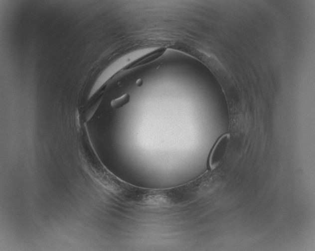 X0000074040262200609061215