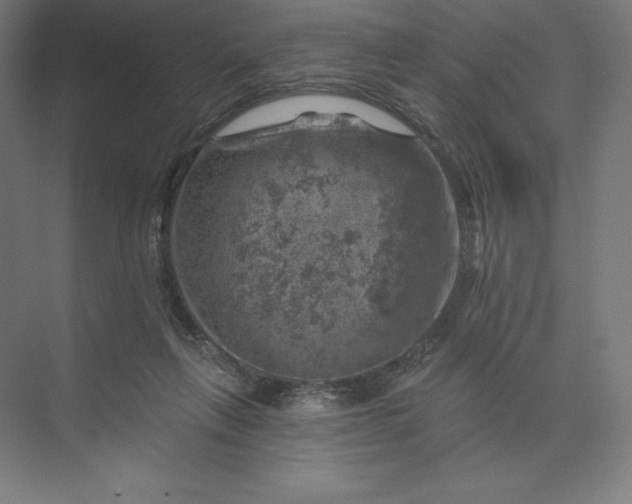 X0000074040263200609061215