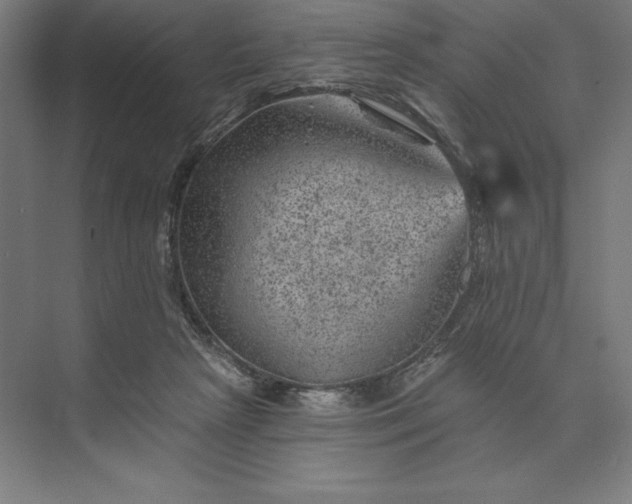 X0000074040265200609061215