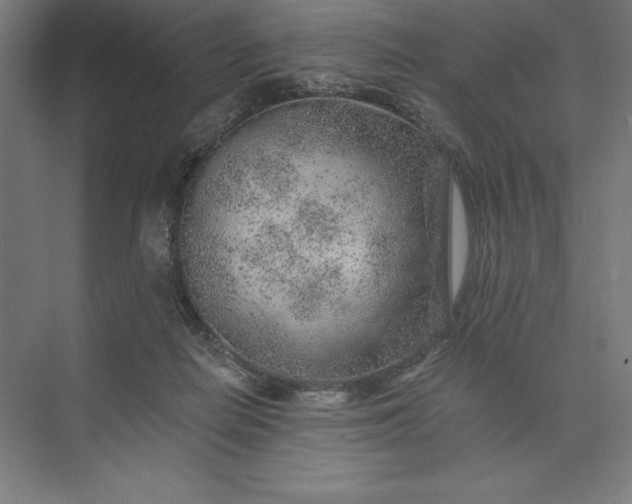 X0000074040266200609061215