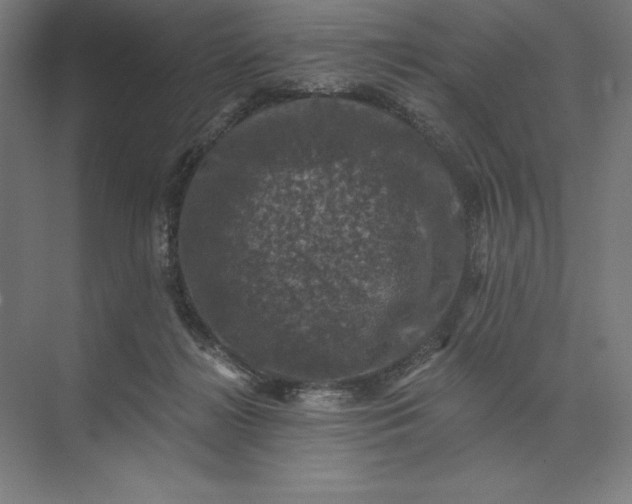 X0000074040268200609061215