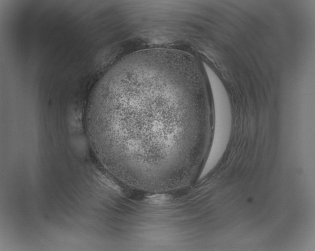 X0000074040269200609061215