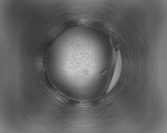 X0000074040270200609061215