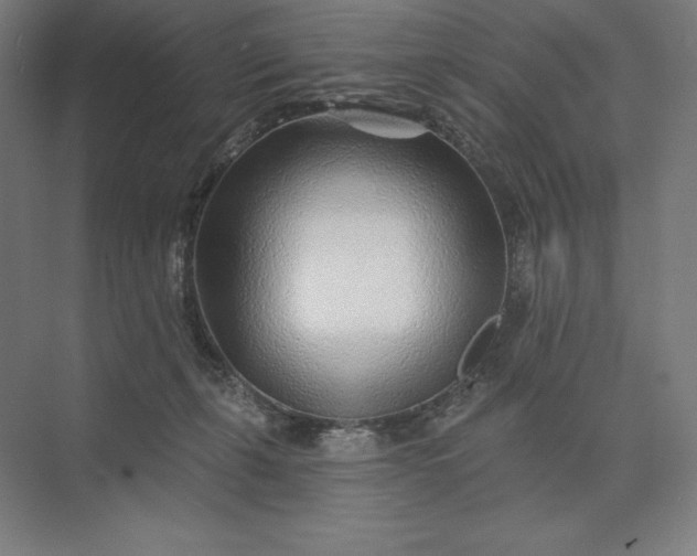 X0000074040271200609061215