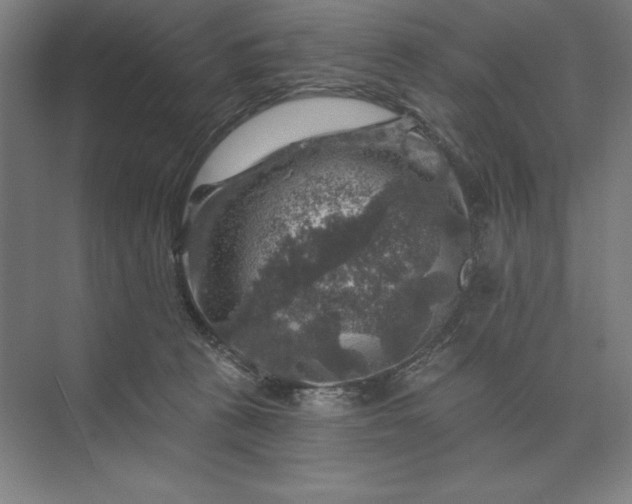 X0000074040273200609061215