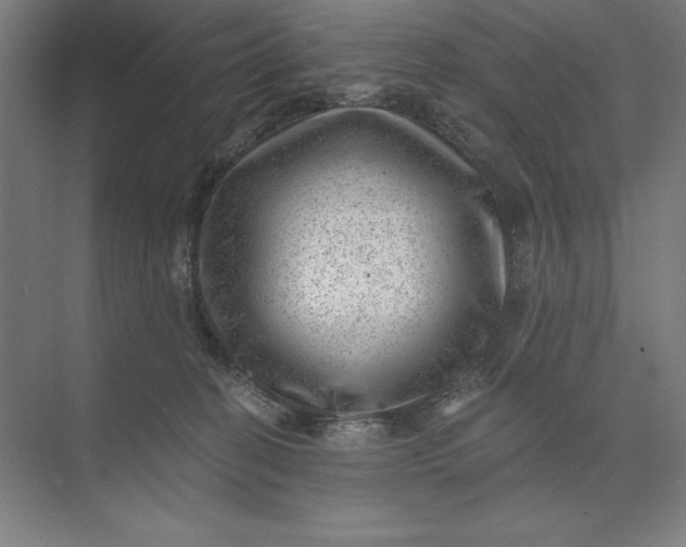 X0000074040274200609061215