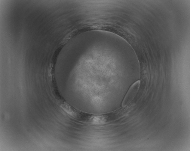 X0000074040275200609061215