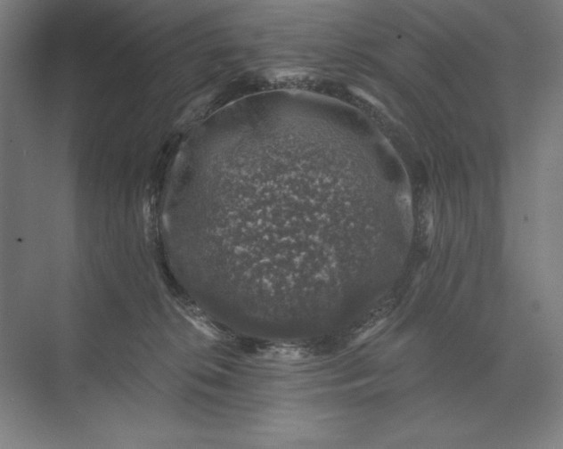 X0000074040276200609061215