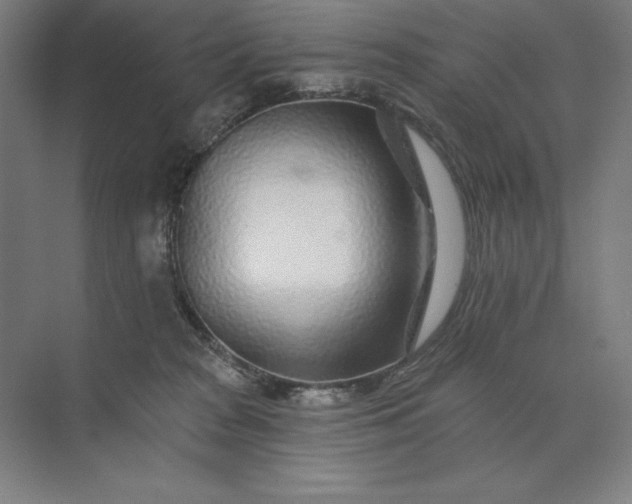 X0000074040277200609061215