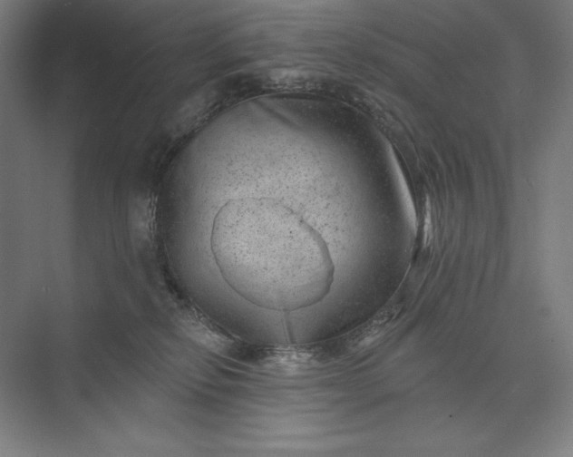 X0000074040278200609061215