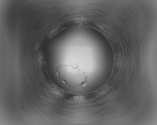 X0000074040279200609061215