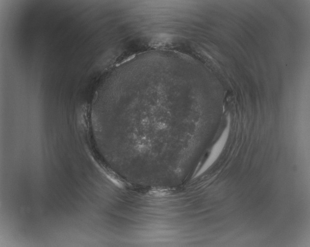 X0000074040280200609061215