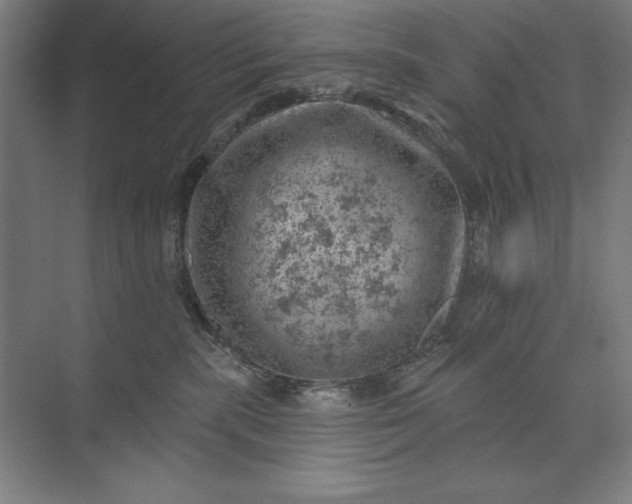 X0000074040283200609061215