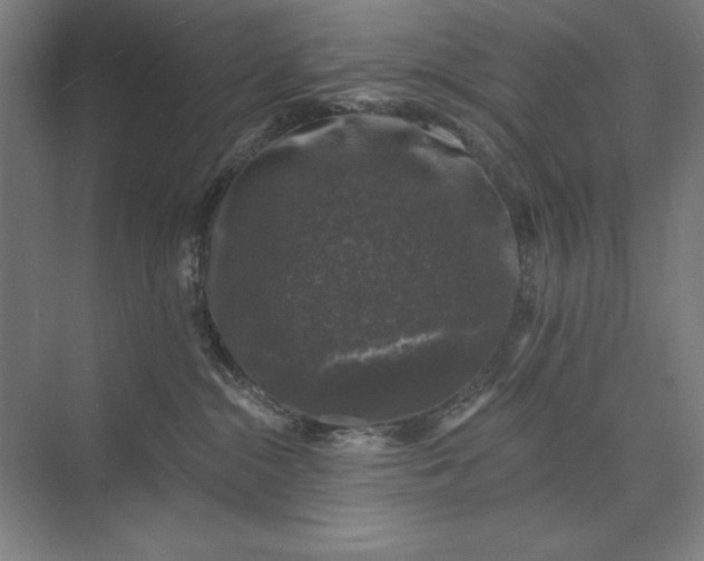 X0000074040284200609061215