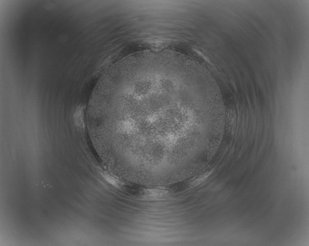 X0000074040286200609061215