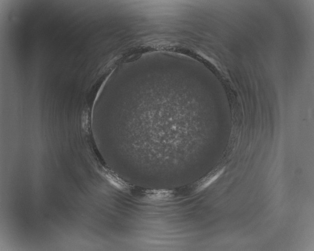 X0000074040288200609061215