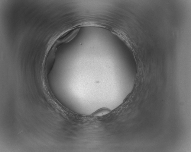 X0000074040289200609061215