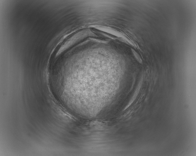 X0000074040290200609061215