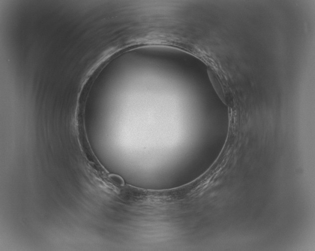 X0000074040292200609061215