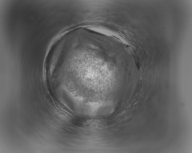 X0000074040294200609061215