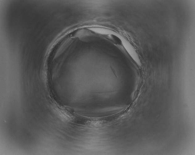 X0000074040295200609061215